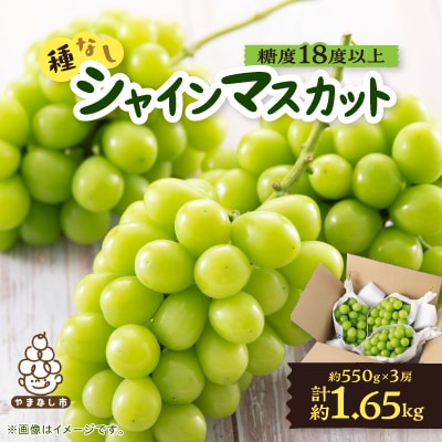 【2026年先行受付】山梨市産「シャインマスカット(種なし)」 約1.65kg (約550g×3房)【配送不可地域：離島・沖縄県】