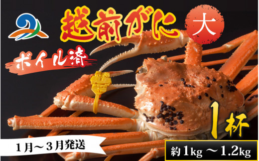 【先行予約】越前港より直送！ 越前がに 大 (約1kg～1.2kg) 1杯 ※発送前に在宅確認の電話連絡をいたします! 【1月～3月配送】ズワイガニ ずわいがに ズワイ蟹 越前ガニ ボイル 刺身 蟹 鍋 しゃぶしゃぶ 冷蔵  カニ 鍋 海鮮 かに福井県 南越前町 送料無料