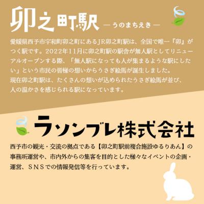 ふるさと納税 西予市 <うさぎミニ絵馬チャーム5個セット>　ウサギ　卯　エマ　キーホルダー　ストラップ　お守り　おしゃれ |  | 03