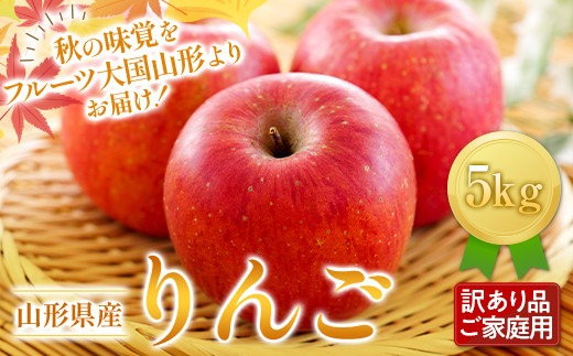 FYN6-432 《2026年先行予約》ご家庭用 山形県産 りんご 5kg 2026年11月下旬から順次発送 林檎 リンゴ 秋果実 冬果実 果物 くだもの フルーツ 訳あり 農業者 農家 支援 自宅 家庭 産地直送 山形県 西川町 月山