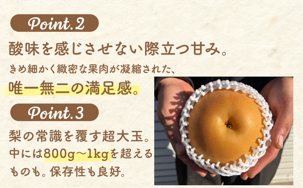 梨(にっこり) 2玉入り×1箱 (内容量1玉900g以上)※2025年10月上旬～11月下旬頃に順次発送予定