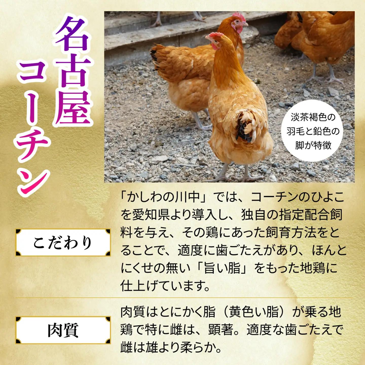 【かしわの川中】超新鮮＆美味！大津市で飼育した近江しゃもor名古屋コーチン！約600g（2〜3人前）[G005] / しゃも 軍鶏