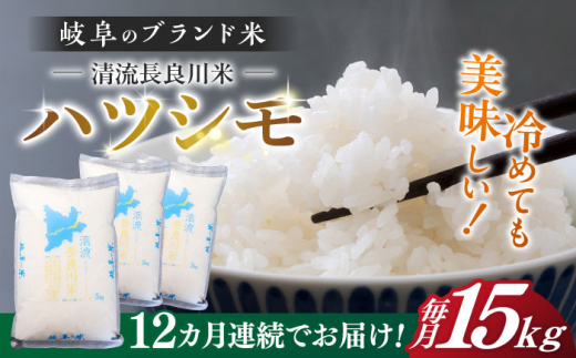 【12回定期便】【R7年産】 岐阜 ハツシモ 15kg 名水 100選に選ばれた 長良川 中流の水で育った 「清流長良川米」 ハツシモ はしつも 長良川 清流米 すし飯  冷めても美味しい お米 米 こめ 白米 15kg 15キロ 定期便 岐阜市 / 森ライス [ANCU013]