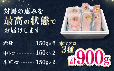 【1週間以内発送】対馬産 本マグロ 3種 計900g（赤身/中トロ/ネギトロ）[WAH029] まぐろ トロ ねぎとろ スピード発送 最速発送 最短発送