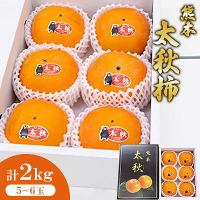 ふるさと納税 宇城市 太秋柿 計約2kg(5〜6玉)【2025年10月上旬から11月上旬発送予定】サンサンうきっ子宇城彩館