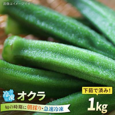 ふるさと納税 糸島市 オクラ 1kg 冷凍 旬の時期に急速冷凍 【福岡県糸島産】 [AGE054]