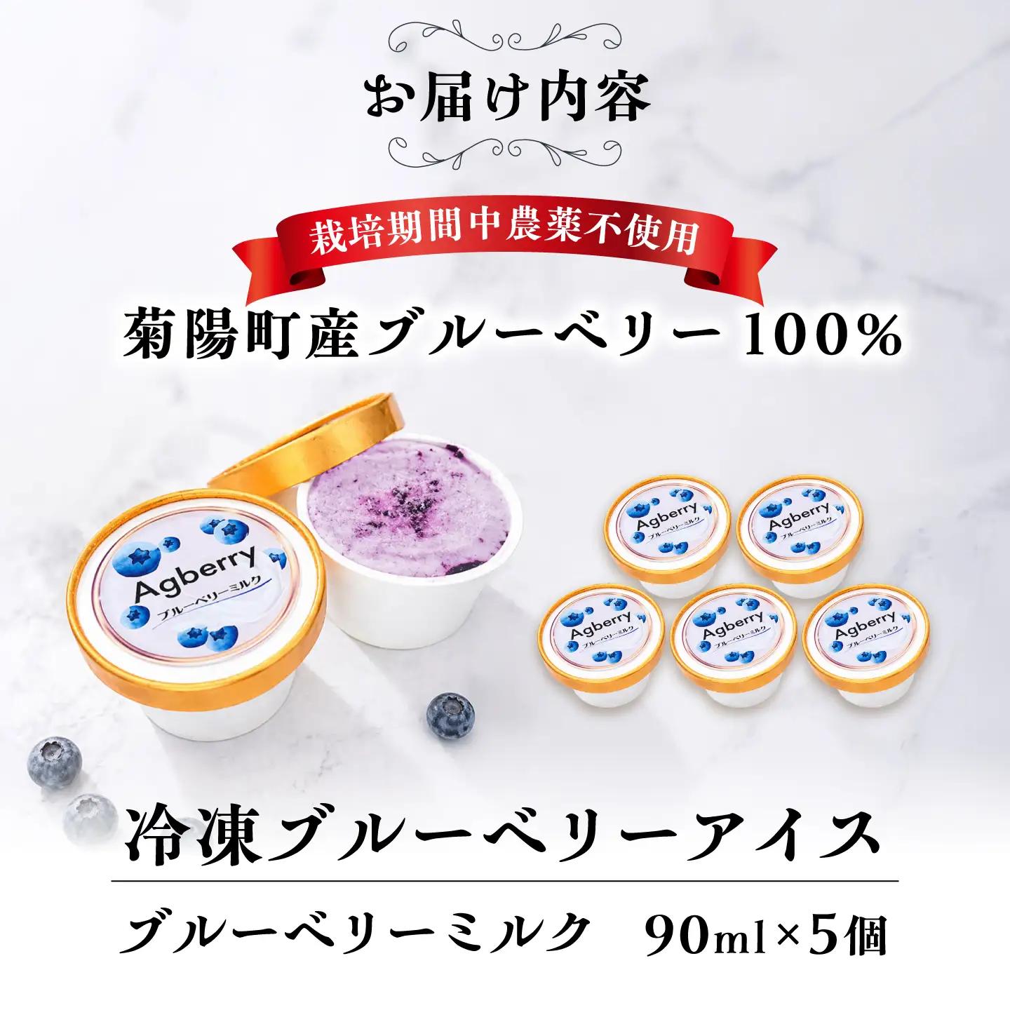 冷凍ブルーベリーアイス(ミルク) 計5個 アイス BHCX016