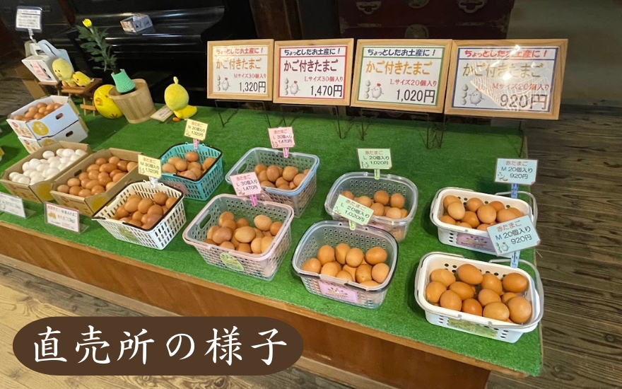 【12回定期便】キムラファームの産みたて卵 赤たまご60個(Mサイズ)産みたてたまご たまご 卵 玉子 タマゴ 鶏卵 オムレツ 卵かけご飯 たまご焼き 新潟県 五泉市