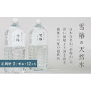 【ふるさと納税】【定期便】雪椿の天然水 2L×6本×全12回