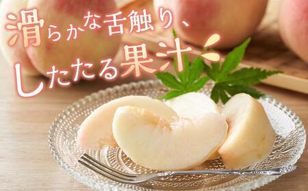 桃 2024年 先行予約 清水 白桃 5～6玉入 約1.5kg 岡山市一宮地区産 もも モモ フルーツ 果物 ギフト[No.5220-0287]