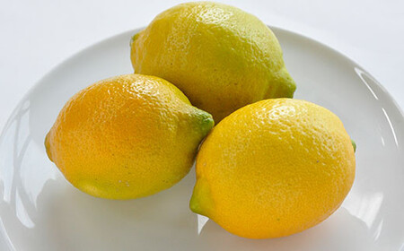 【先行予約】レモン 約2.5kg【KC00790K3】