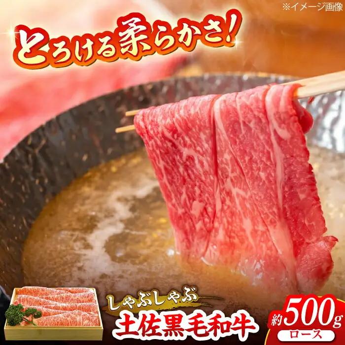 土佐黒毛和牛　ロースしゃぶしゃぶ用　約500g / とろけるやわらかさ 和牛 高知県産 国産和牛 牛肉 黒毛和種  【（有）蔵多堂】 [ATAE006]