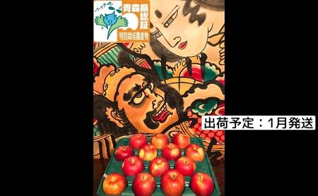 りんご 【 1月発送 】 訳あり 家庭用 葉とらず サンふじ 約 5kg 青森県特別栽培農産物認証農園 【 弘前市産 青森りんご 】