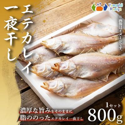 ふるさと納税 養父市 【旨み引き立つ】一夜干し　エテカレイ 　約800g 1セット