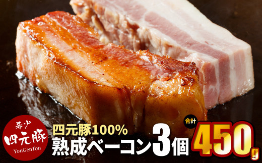 【 岩手 四元豚  GIFTON 】熟成ベーコンブロック 150g ×3個セット (合計 450g ) 豚肉 ベーコン 厚切り BBQ 焼き肉 ギフト お歳暮 お中元 プレゼント 贈答 おつまみ 晩酌 お弁当 冷凍 オリジナルボックス 包装 のし 【 岩手県 北上市 ごえん株式会社 D0461 】