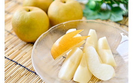 新甘泉 【倉吉産】5kg（ＪＡ鳥取中央） 梨 果物 和梨