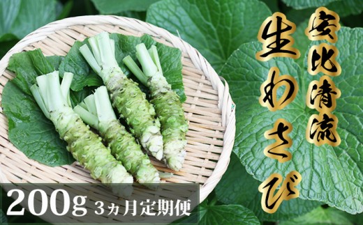 岩手県産 生わさび 200g 3ヶ月定期便 【安比清流山葵園】 ／ 山葵 ワサビ わさび 薬味 国産 八幡平市産 産地直送 新鮮 調味料 刺身 ステーキ お肉 蕎麦 和え物 漬け物 刻み おろし 辛味 和食 お寿司 そば 肉の薬味 魚の薬味 そばの薬味 料理 おすすめ オススメ 日本産