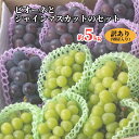 【ふるさと納税】訳あり ピオーネ シャインマスカット セット 詰め合わせ もりおか農園 よろこびぶどう 切房入り 約 5kg 8〜13房 種なし 岡山 【 先行予約 10月上旬から 順次発送 】