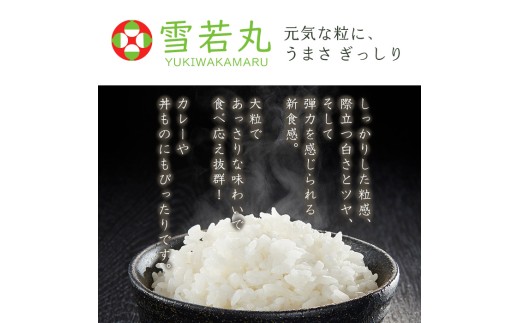 【令和8年産】 【定期便6回】山形産 雪若丸 精米 5kg×6回 FY26-260