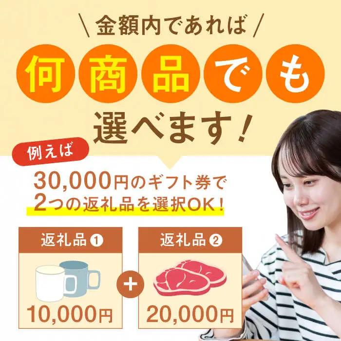 あとからセレクト 波佐見町ふるさとギフト 60万円分 あとから選べる カタログギフト[FB108]