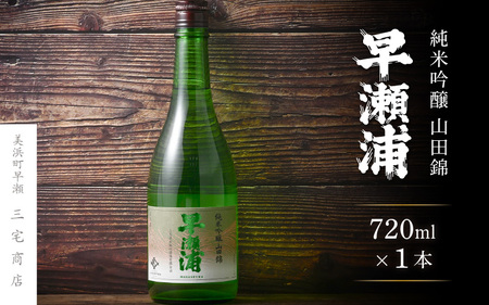 【早瀬浦】純米吟醸 山田錦 720ml × 1本【日本酒 地酒 福井 美浜 早瀬 フルーティ 男酒 硬水 ミネラル 希少 ご褒美 家飲み】[m16-a004]