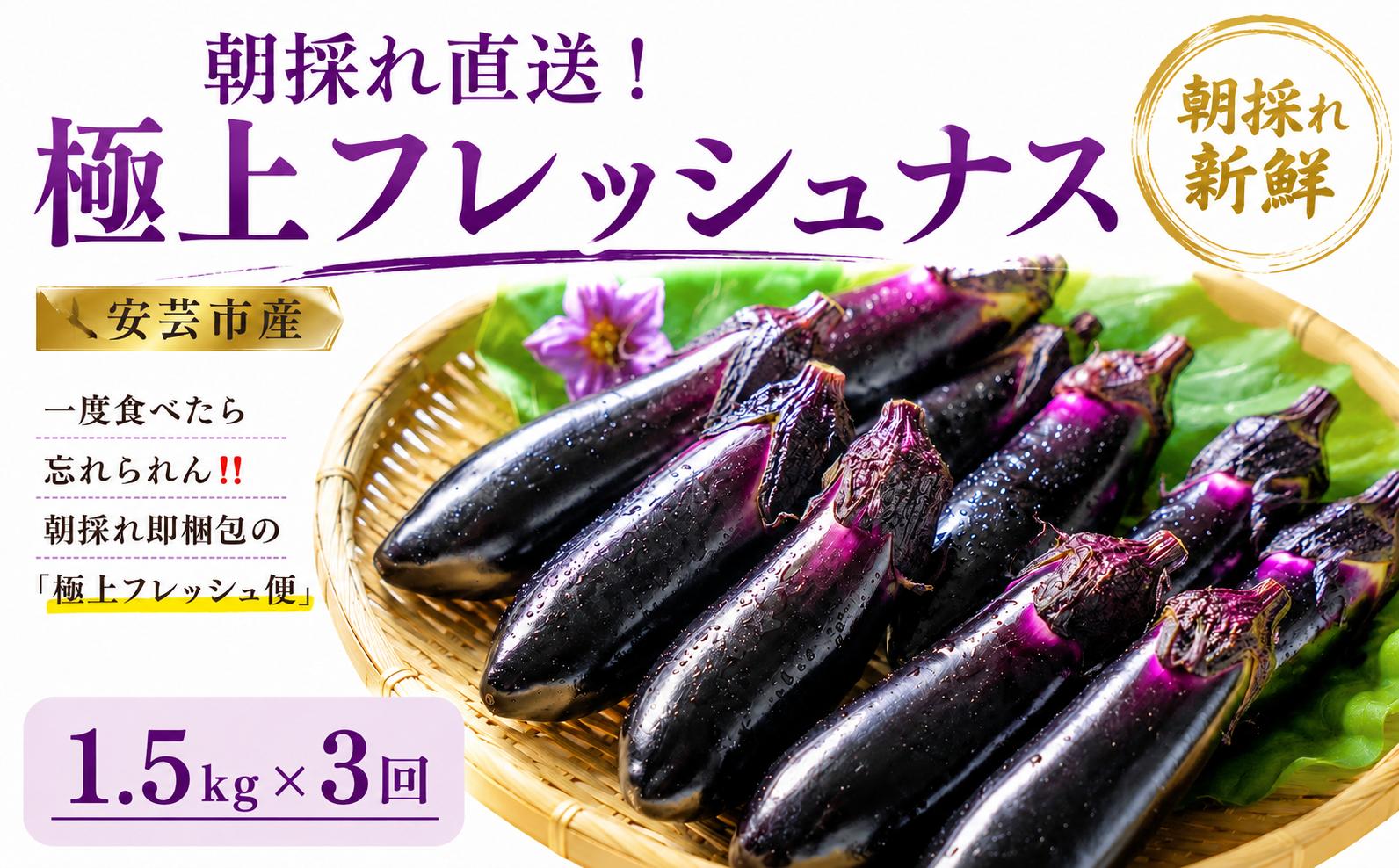 【先行受付】 3回定期便 「優秀賞受賞なす」 計4.5kg 約1.5kg×3回 採れたて 新鮮 旬 野菜 やさい 茄子 先行予約 期間限定 季節 料理 ご飯 ごはん 朝採れ 極上 フレッシュ 農産物 優秀賞 陽ざし 大地 収穫 即梱包 衛生的 ツヤ ハリ 取れたて感 天敵農法 自家製肥料 環境制御 お竜 焼きなす 揚げ浸し 煮びたし カレー パスタ たたき ぽん酢 こたにん農園 安芸市 高知県