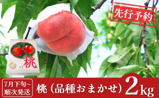 先行予約 桃 約2kg (6個入) [2025年発送分] 令和7年産 新潟フルーツ 新潟県産桃 [石田フルーツガーデン]【011P011】