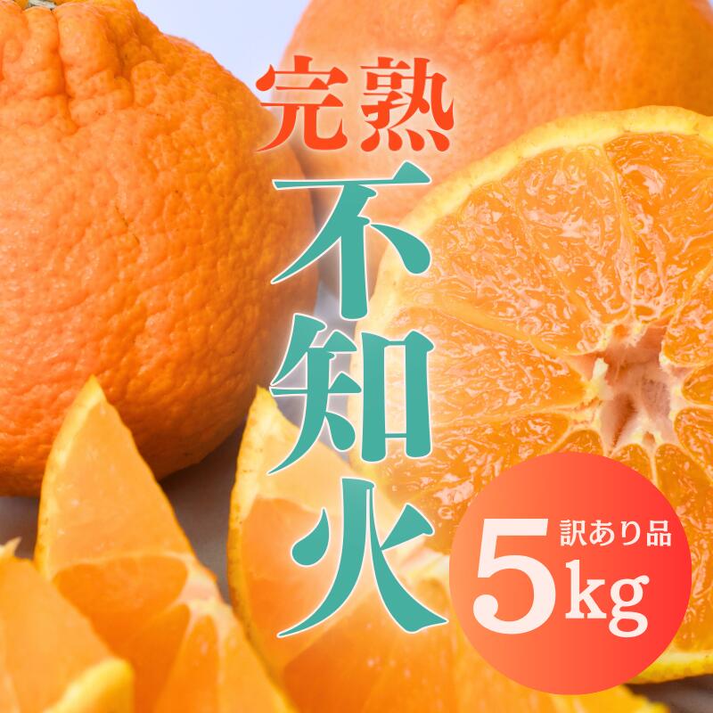 【ふるさと納税】 不知火 たにぐち農園の 完熟不知火 ご家庭用 ちょこっと訳あり 5kg 【2026年2月中旬から3月下旬までに順次発送】 デコポン みかん ミカン 蜜柑 柑橘 果物 くだもの フルーツ わけあり 訳あり 家庭用 予約 人気 ジューシー 甘い 産地直送 送料無料