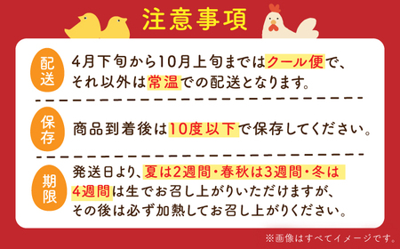 【全6回定期便】ばあちゃんの昔たまご 計360個（55個+5個×6回（割れ補償付き）） / 平飼い卵 / 佐賀県 / 素ヱコ農園 [41AEAA011]