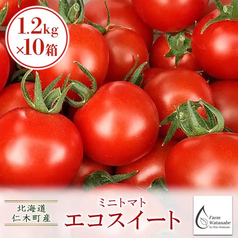 2026年 北海道仁木町産 ミニトマト エコスイート 1.2kg×10箱