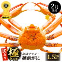 【ふるさと納税】【訳あり】≪浜茹で≫越前がに 極サイズ × 1杯（生で1.5kg以上） 食べ方しおり付 味は「極」同様！【雄 ズワイガニ かに カニ 蟹 越前ガニ 姿 ボイル 冷蔵 福井県】【2月発送分】希望日指定可 備考欄に希望日をご記入ください [e14-x013_02]