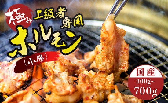 
            国産 牛 極上 上級者専用 ホルモン (小腸) 300g/500g/700g 附属タレ付き | 冷蔵 もつ鍋 タレ揉み 中元 ギフト お祝いモン モツ しょうちょう 焼き肉 BBQ 味付け肉 キャンプ アウトドア 京都 舞鶴
          