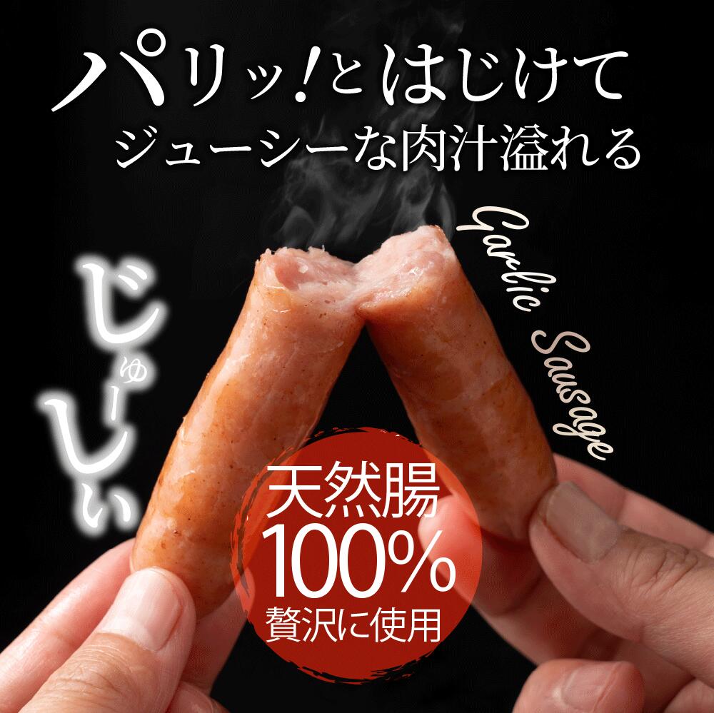 【ふるさと納税】ガーリック薫る ジューシー 粗挽き ウインナー ソーセージ 800g  ソーセージ ウインナーソーセージ 詰合せ 詰め合わせ  お取り寄せ 御取り寄せ 秋 旬