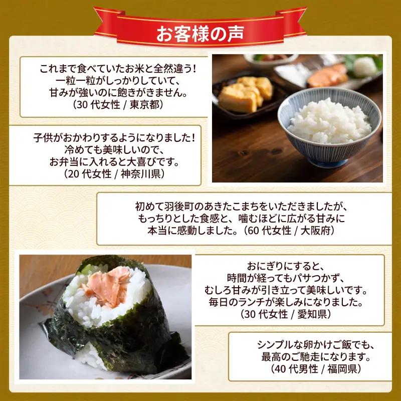 令和8年産 定期便 あきたこまち 10kg 全6回 秋田 米 あきたこまち