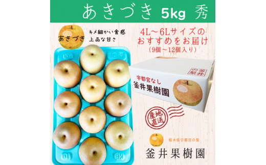 あきづき 5kg 9～12玉 | 栃木県産 宇都宮市 梨 なし あきづき フルーツ 果物 旬 産地直送 ※2026年9月～発送