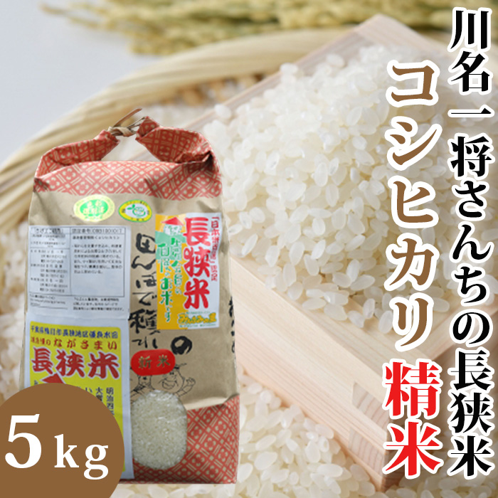 【令和7年産】川名一将さんちの長狭米　コシヒカリ5kg【精米】 [0015-0066]