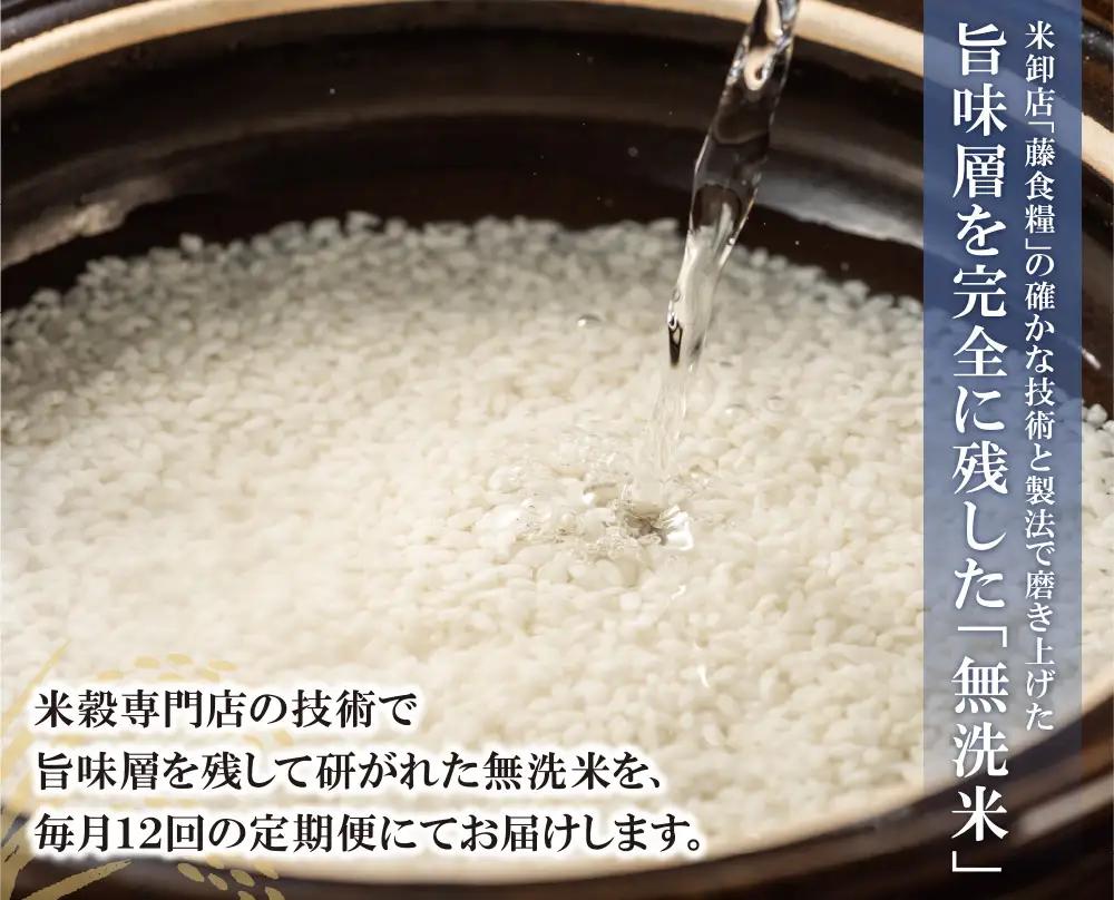 Z17-86 無洗米 元気つくし10kg定期便(毎月・年12回)