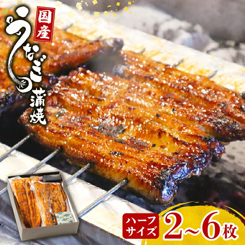 【ふるさと納税】 鰻蒲焼 選べる 内容量 ハーフサイズ 2?6枚 すみの坊 秘伝のタレ 手焼き 真空パックうなぎ百選店 こだわりの 富士山湧水 ウナギ 土用丑の日 三島 晩ごはん 家族 惣菜