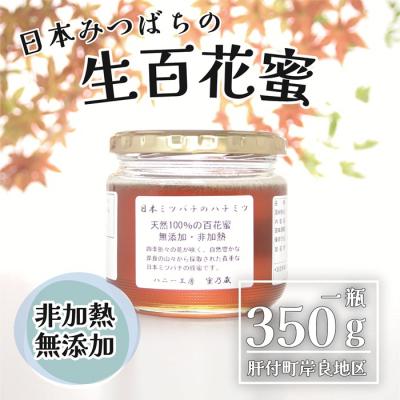 ふるさと納税 肝付町 日本ミツバチ 生百花 蜂蜜(約350g) 　A96001