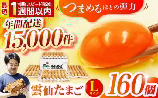 【卵 スピード発送】Lサイズ160個(150個＋割れ補償10個入り) 長崎県/塚ちゃん雲仙たまご村 [42ACAE006] 卵 玉子 タマゴ 鶏卵 長崎 島原 九州 大容量 たっぷり