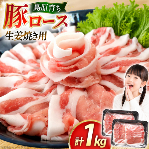 AK030 豚ロース 生姜焼き用 500g 2パック 計1kg [ 豚肉 ぶた肉 ロース 小分け 肉 お肉 生姜焼き しょうが焼き BBQ バーベキュー 焼肉 アウトドア 1キロ スターゼン 長崎県 島原市 ]