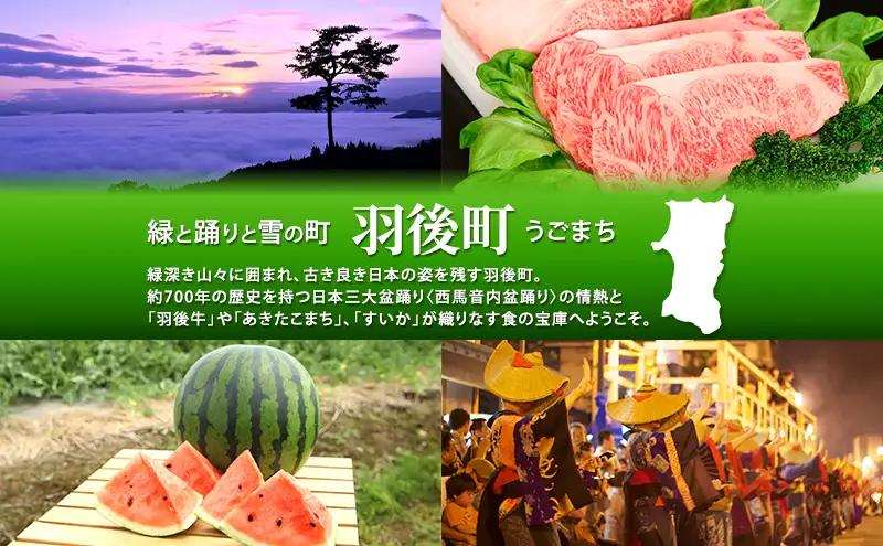 羽後町産 地ビール 羽後麦酒クラフトビール6本セット アルコール お酒 