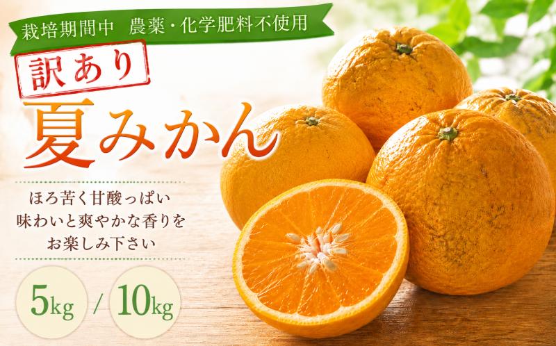 
                  【栽培期間中　農薬・化学肥料不使用】 訳あり 夏みかん 5kg/10kg 旬 みかん ゼリー フルーツ スムージー マーマレード ジャム mikan ジュース 果汁 柑橘 小松島市
                
