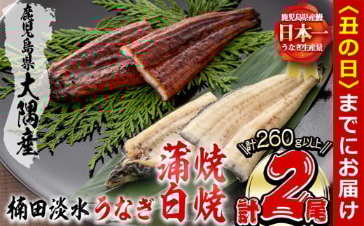 【丑の日までに配送】楠田の極うなぎ蒲焼130g以上×1尾・白焼130g以上×1尾(計260g以上) 山椒付たれ 鰻 ウナギ 蒲焼 白焼き うな重 ひつまぶし 鹿児島 冷凍 おかず お祝い 食べ比べ a4-094-us