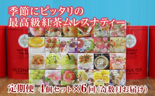 
            【定期便】【年間6回】季節にピッタリの最高級紅茶ムレスナティー
          