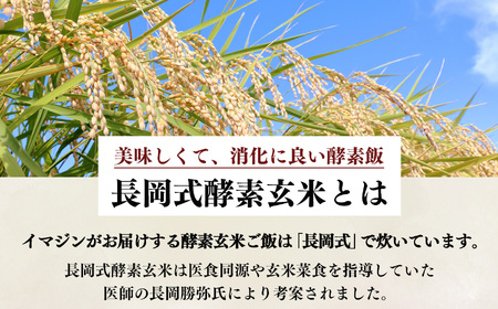 【 定期便 6回 】酵素玄米 ごはん ( 長岡式 ) 約 2.4kg | 酵素玄米 長岡式 オーガニックカフェ 奈良県 平群町