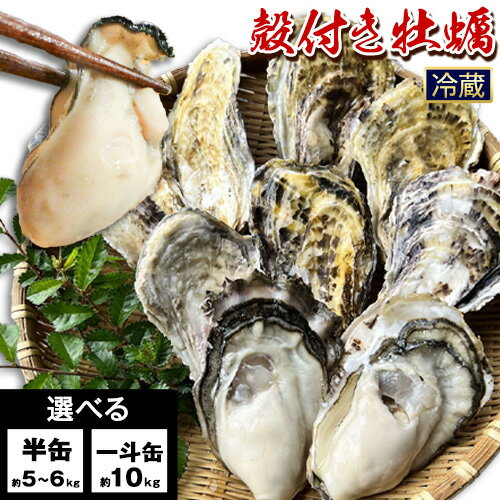 【ふるさと納税】選べる 牡蠣 殻付き牡蠣 加熱用 半缶 ( 約5kg ~ 6kg ) または 一斗缶( 約10kg ) ナイフ・軍手付《2月上旬-3月末頃出荷》備前海産 有限会社 かき カキ 海産物