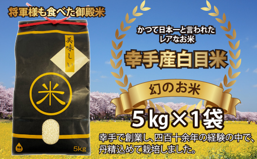 【令和7年産米】幻のお米 日本一美味 と言われた 白目米 5kg - お米 白米 精米 御納米 ごはん 甘み カレー ピラフ 安心 安全 おすすめ 送料無料 埼玉県 幸手市