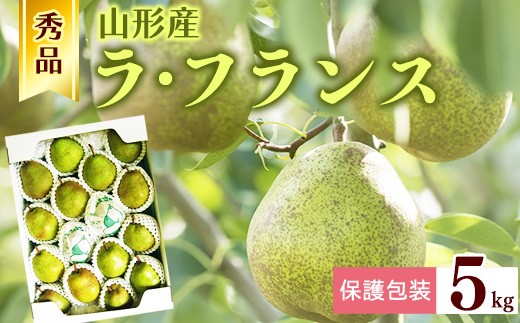
                  【保護包装品】令和8年産 秀品 洋梨「ラ・フランス」5kg サイズおまかせ 山形県産【2026年10月末頃から12月上旬頃】　019-B-JA006
                