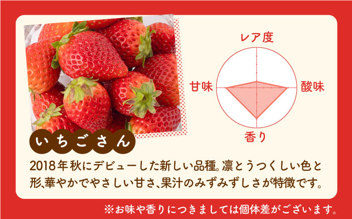華やかでやさしい甘さの「いちごさん」を2月3月にお届け！